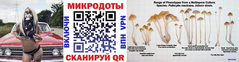 Галлюциногенные грибы мухоморы  Агидель 
